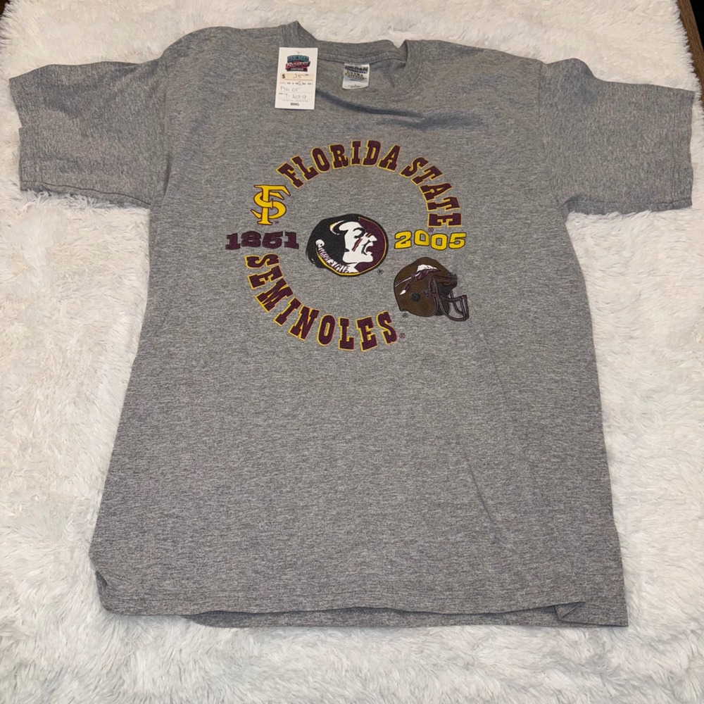 Gildan Florida State Seminoles T-Shirt Mens Large Gray Excellent 2005 fsu